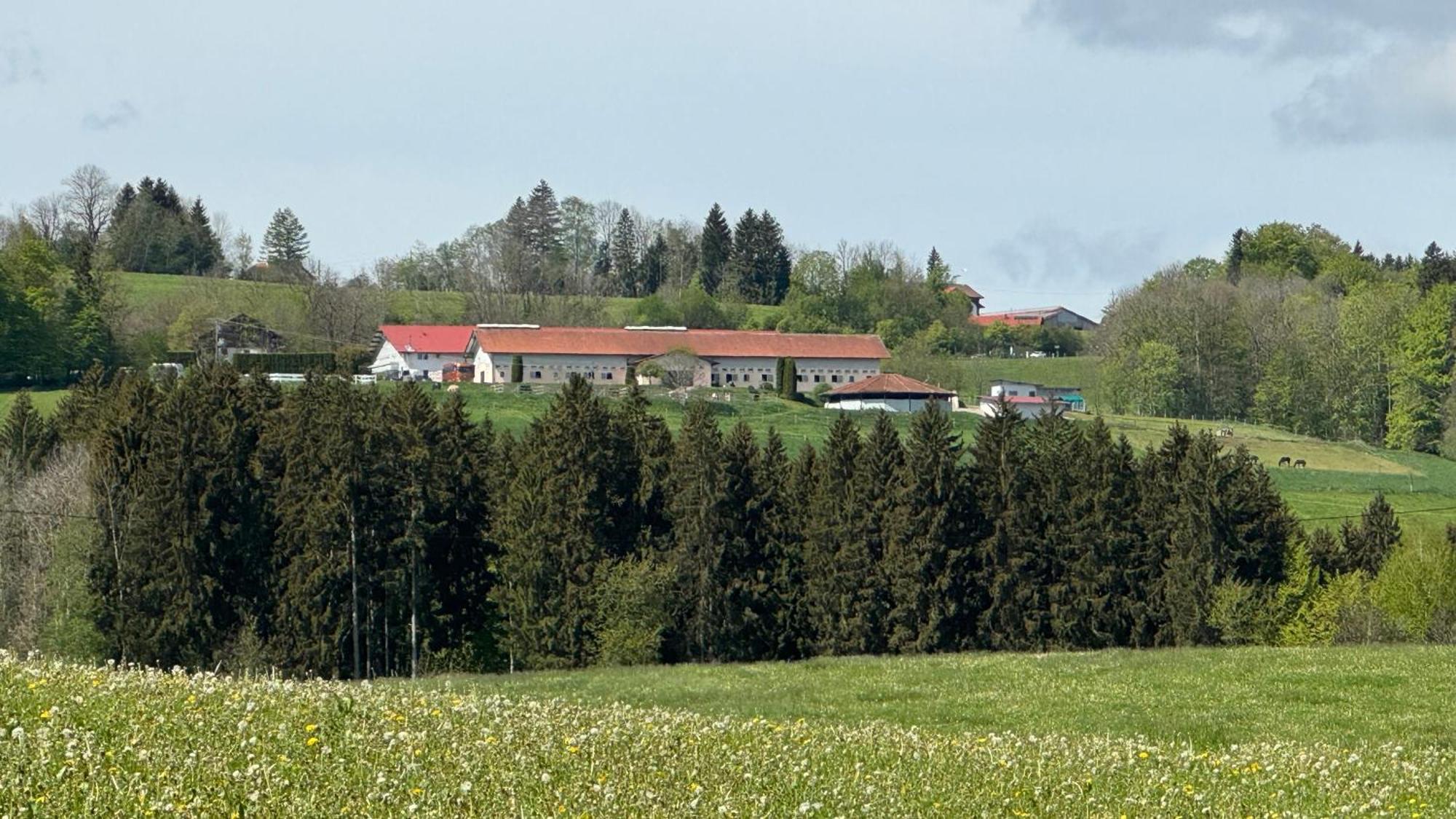 Appartement Gut Buchenhof à Buchenberg  Extérieur photo
